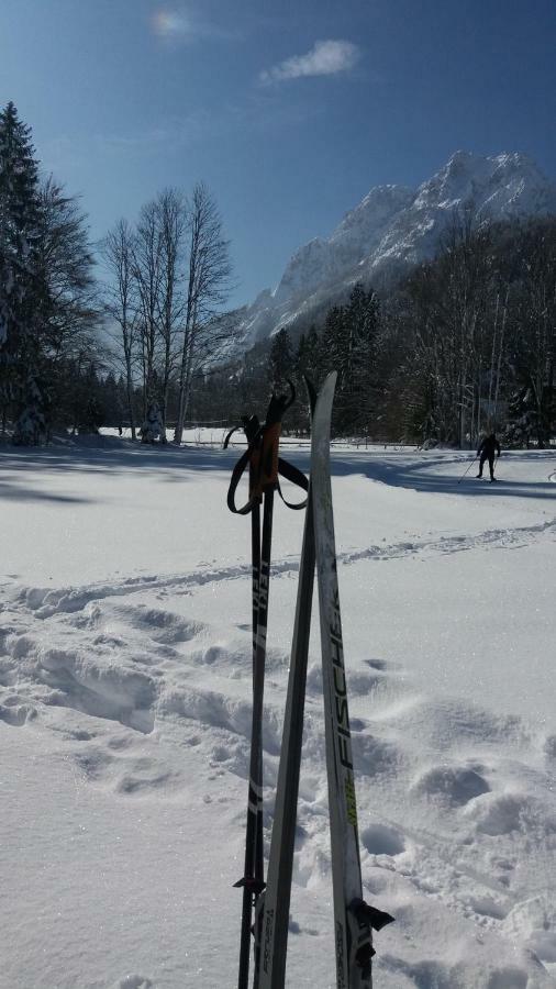 Apartment Crystal Rose Kranjska Gora Bagian luar foto