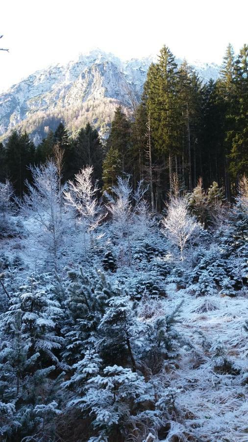 Apartment Crystal Rose Kranjska Gora Bagian luar foto