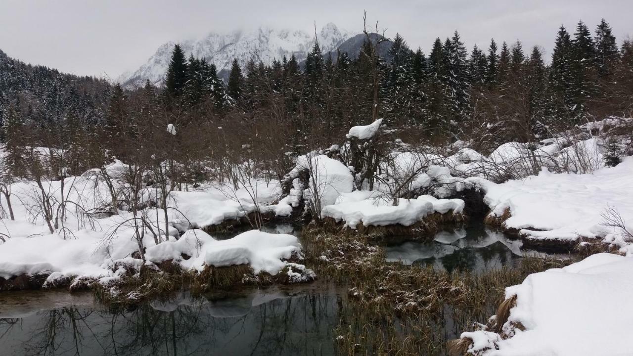 Apartment Crystal Rose Kranjska Gora Bagian luar foto